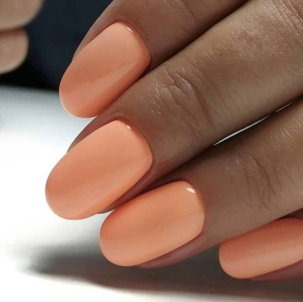 In'Garden X-Gel 008 8ml