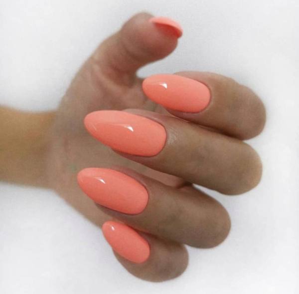 In'Garden X-Gel 011 8ml