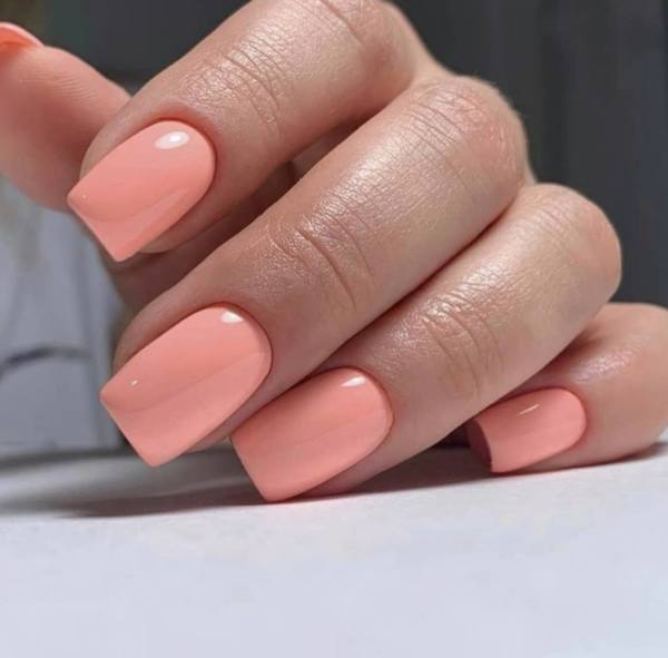 In'Garden X-Gel 012 8ml