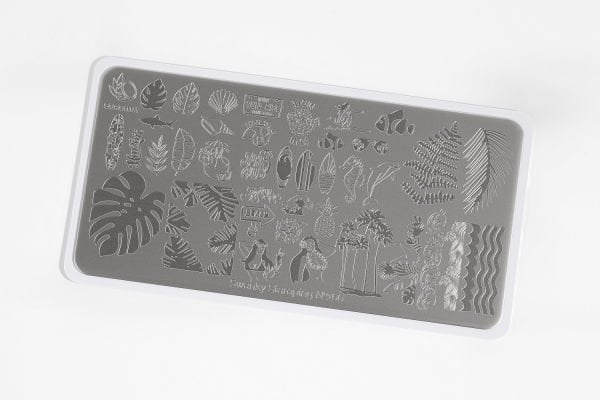 Swanky Stamping Plaka 166