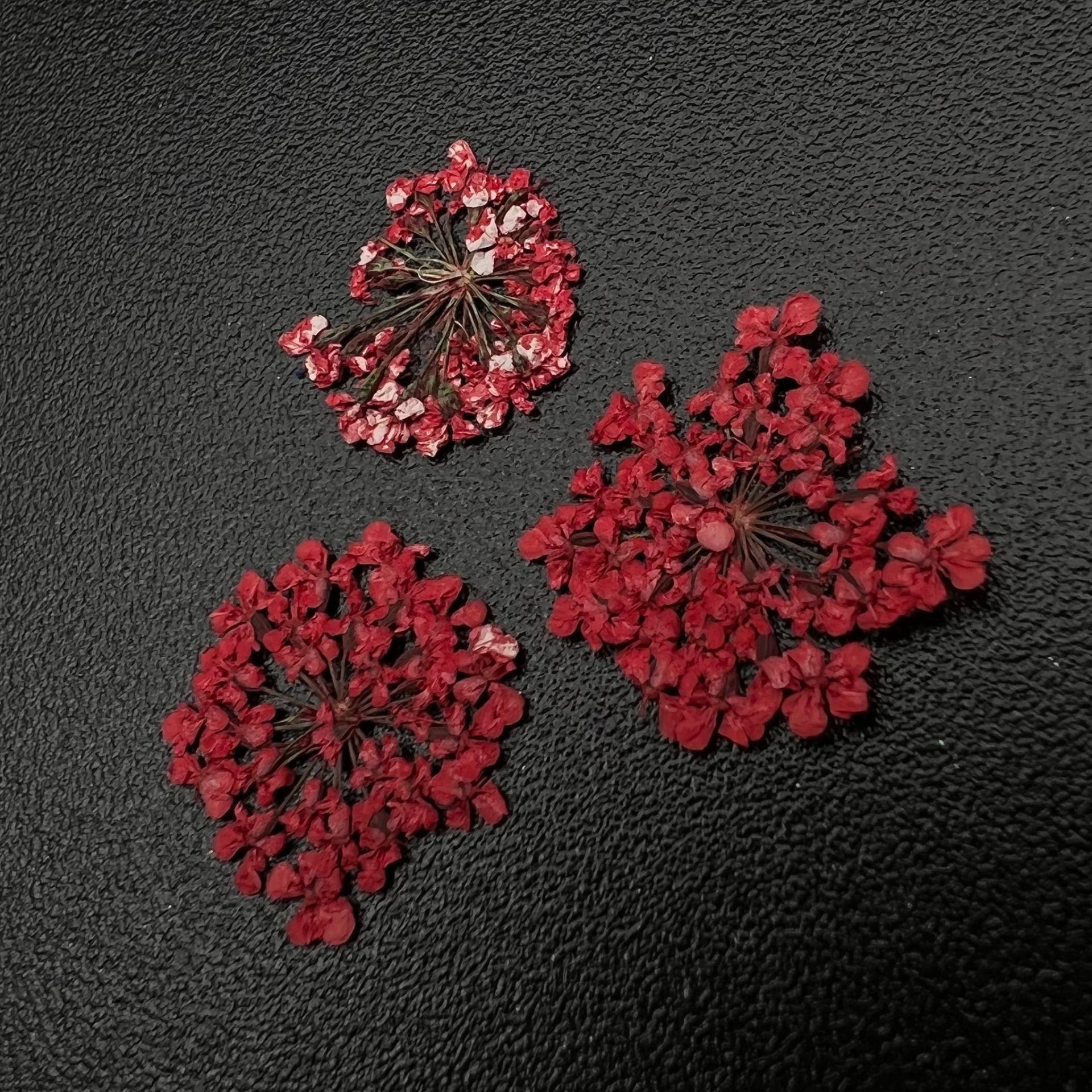 Zoo 1680 Kuru Çiçek Kırmızı