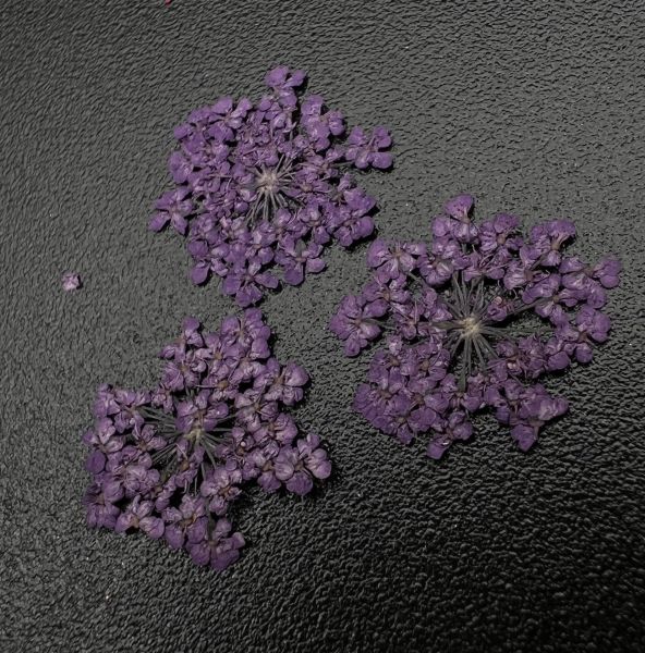 Zoo 1684 Kuru Çiçek Açık Mor