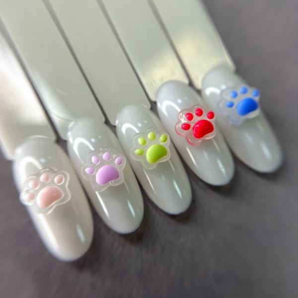 Zoo 1856 3D Patiler Flöresan 5 Adet Çeşitli Renk