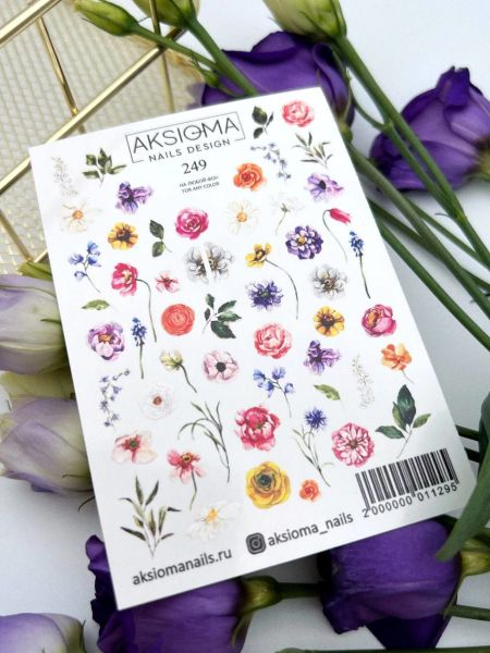 Aksioma Su Transferi Sticker 249