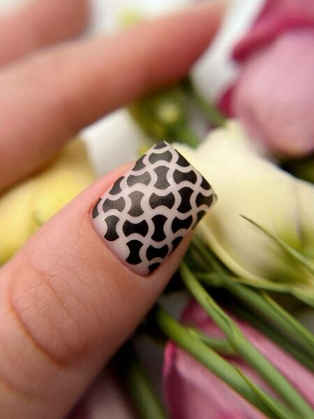 Aksioma Su Transferi Sticker 251