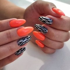 Swanky Stamping Plaka 021