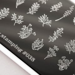 Swanky Stamping Plaka 038