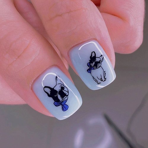 Swanky Stamping Plaka 081