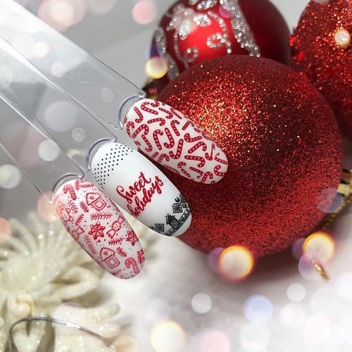 Swanky Stamping Plaka 091