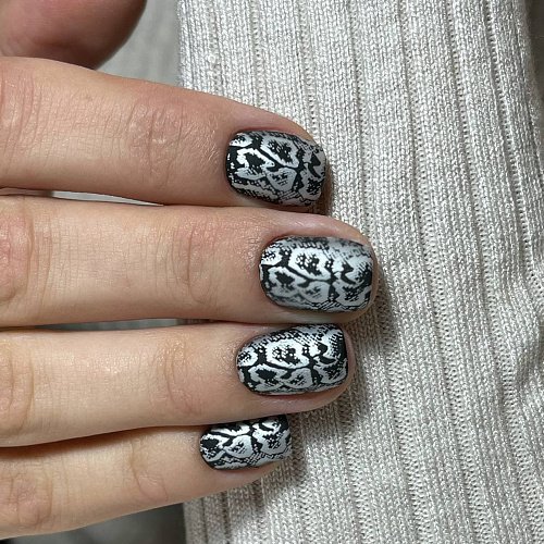 Swanky Stamping Plaka 095