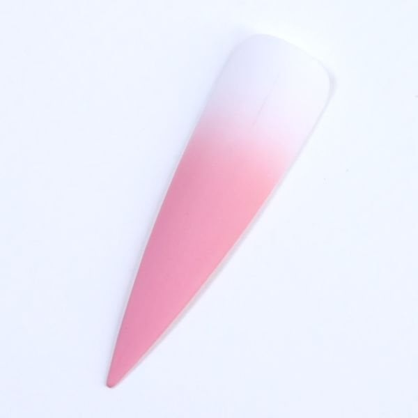 Oneair Airbrush Ombre Boyası Marsala (10ml)