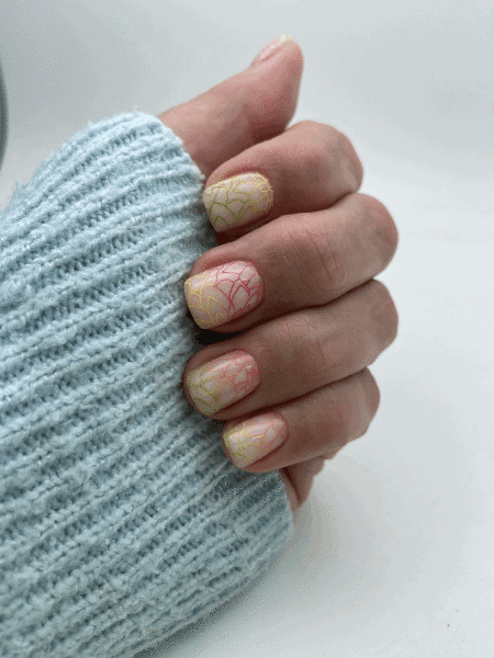 Swanky Stamping Plaka 158