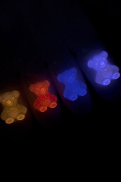 Zoo 1815 3D Ayıcık Flöresan 10 Adet