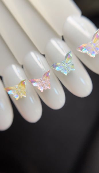 Zoo 1813 3D Kelebek 10 Adet Çeşitli Renk