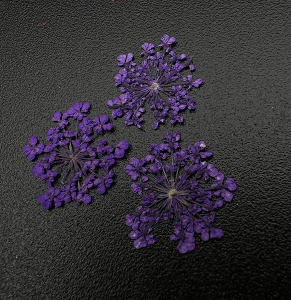 Zoo 1683 Kuru Çiçek Mor