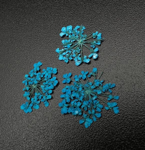 Zoo 1678 Kuru Çiçek Açık Mavi