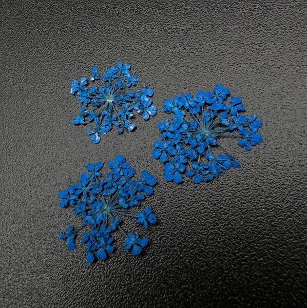 Zoo 1679 Kuru Çiçek Mavi