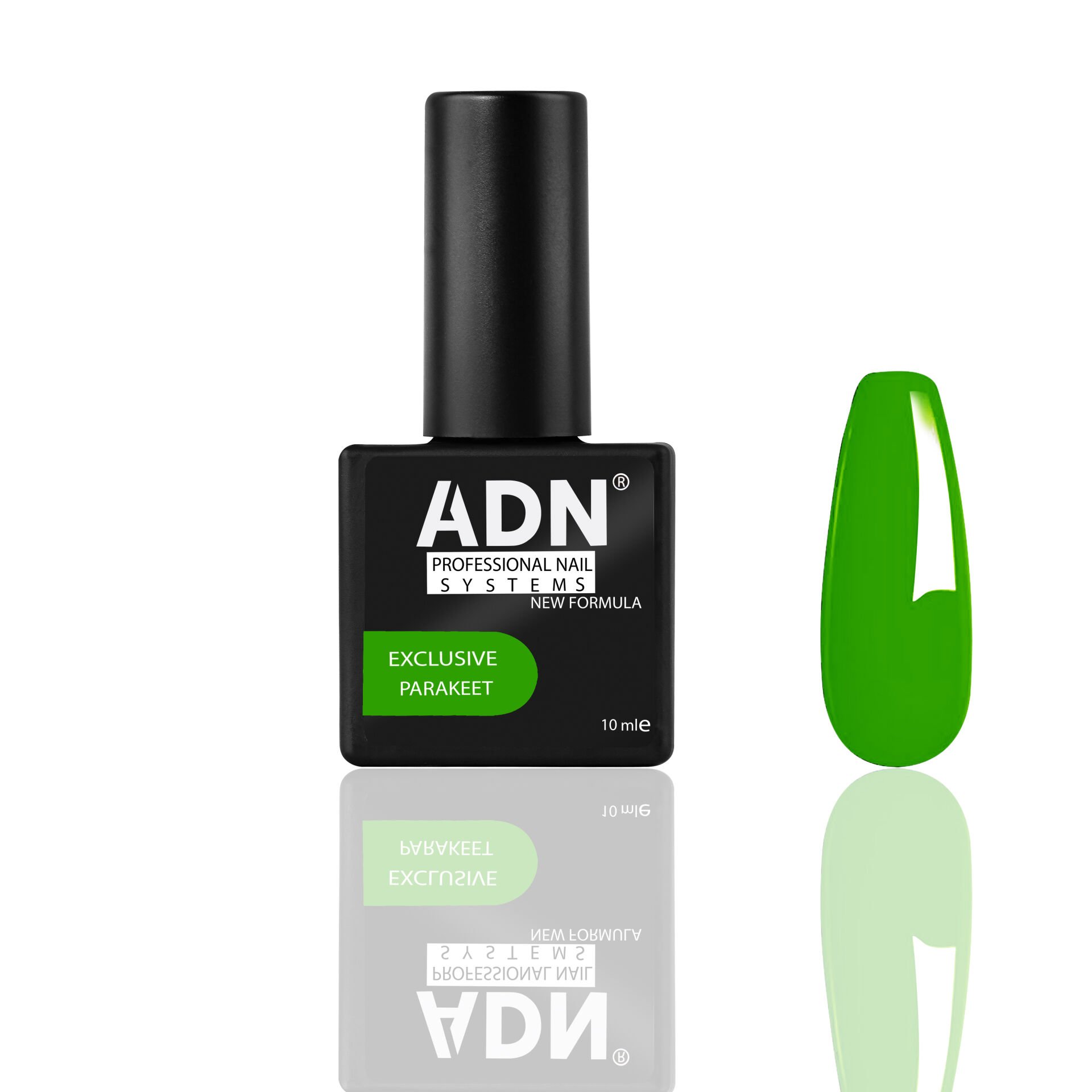 ADN Kalıcı Oje Exclusive Serisi 10 Parakeet (10ml)