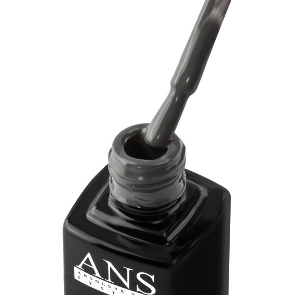 ANS Kalıcı Oje X104 (9,5ml)