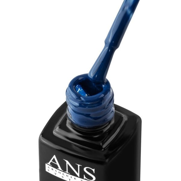 ANS Kalıcı Oje X106 (9,5ml)