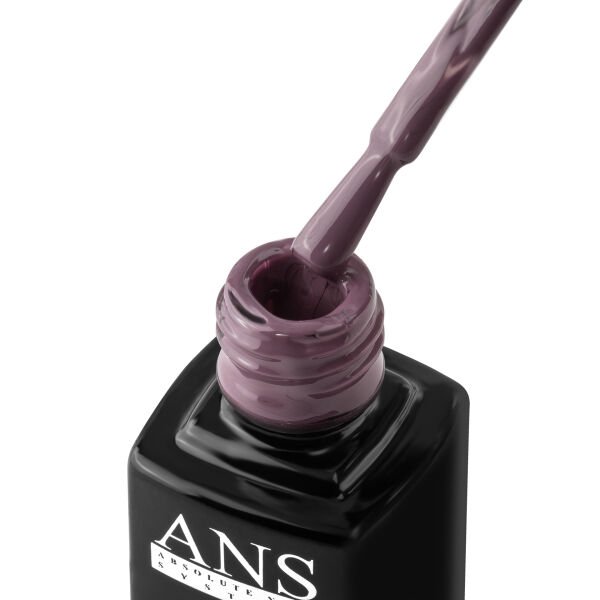 ANS Kalıcı Oje X117 (9,5ml)