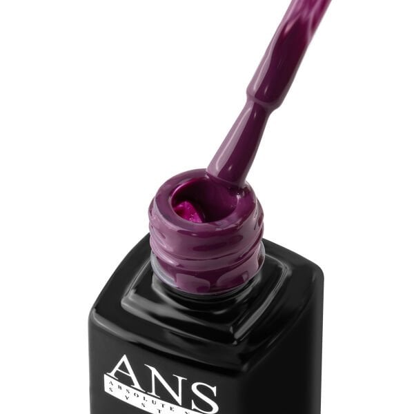 ANS Kalıcı Oje X119 (9,5ml)