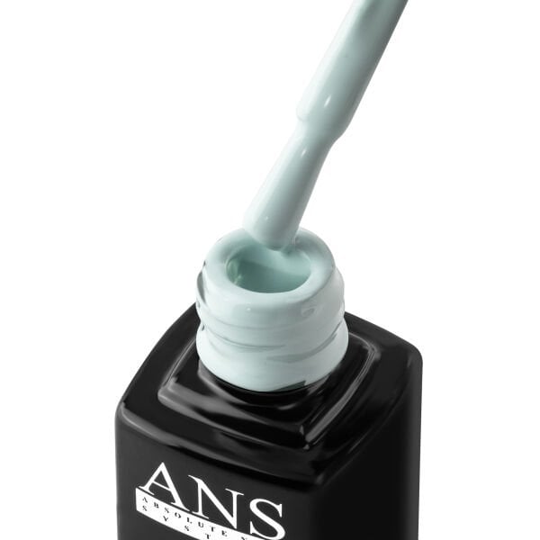 ANS Kalıcı Oje X97 (9,5ml)