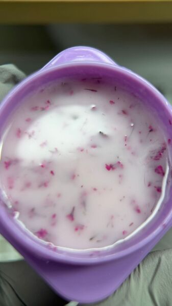 Viola Beauty Liquid Poly Gel Flower #0001 - 30 ml