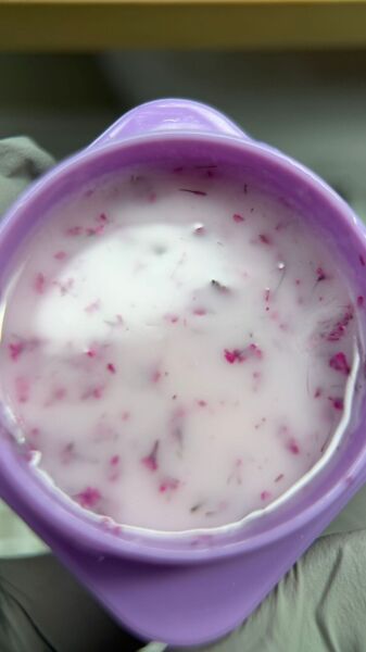 Viola Beauty Liquid Poly Gel Flower #0001 - 7 ml