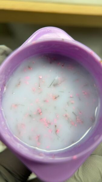 Viola Beauty Liquid Poly Gel Flower #0004 - 7 ml