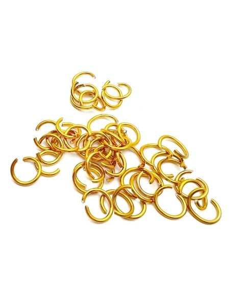 Zoo Halka 1686 (1gr)