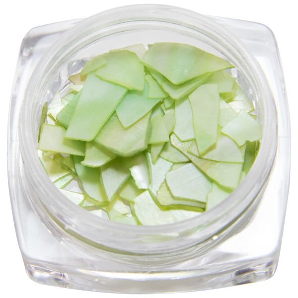 Global Fashion Deniz Kabuğu №16