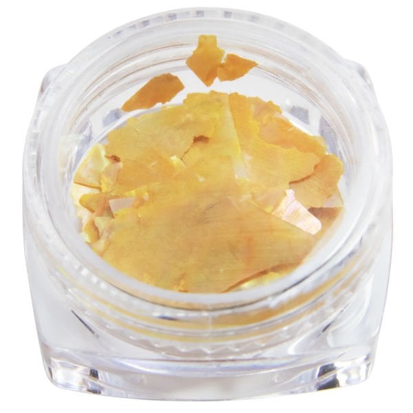 Global Fashion Deniz Kabuğu №17