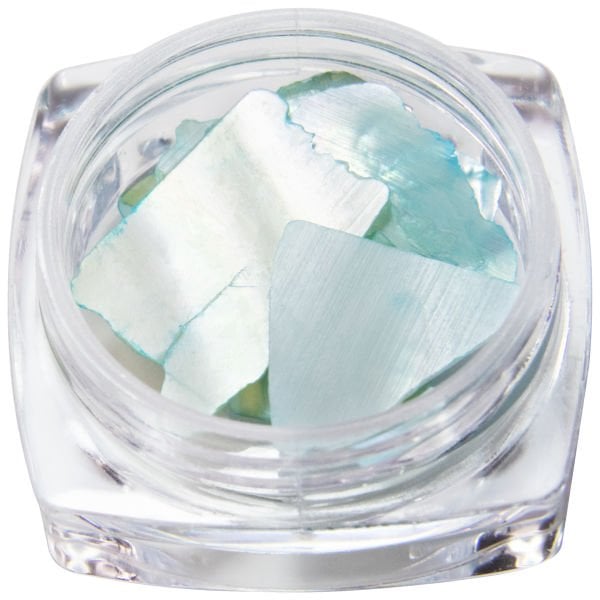 Global Fashion Deniz Kabuğu №23