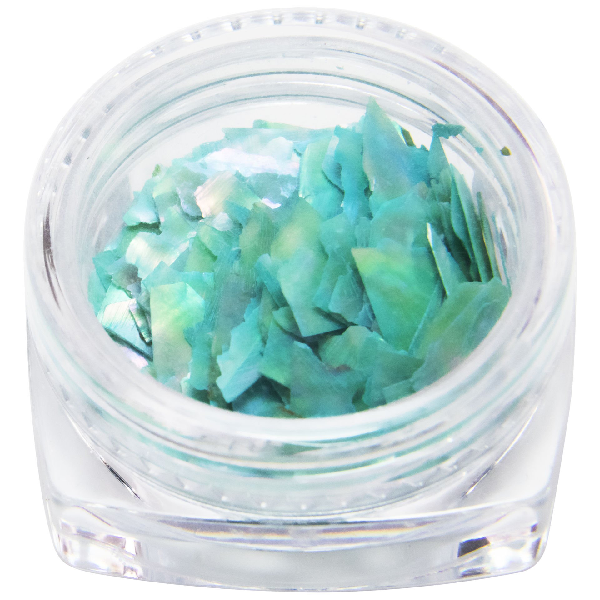 Global Fashion Deniz Kabuğu №24